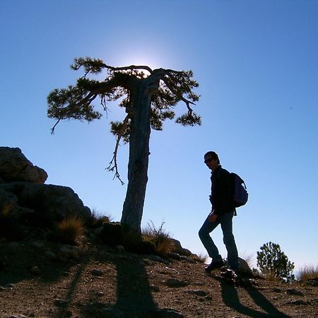 Casas Cueva Cazorla Guest House Hinojares ภายนอก รูปภาพ